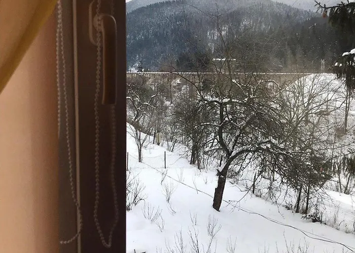 Accommodatie bij particulieren карпатська мавка *